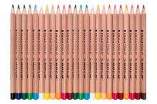 Load image into Gallery viewer, Bear Claw - Thick Triangular Colored Pencils | 24-pack