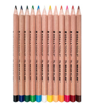 Load image into Gallery viewer, Bear Claw - Thick Triangular Colored Pencils | 12-pack