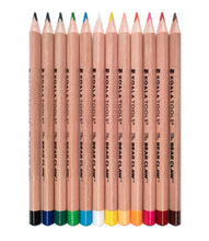 Load image into Gallery viewer, Bear Claw - Thick Triangular Colored Pencils |  12-pack
